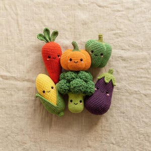 Può includere: Una collezione di verdure all'uncinetto dai colori vivaci, tra cui una carota, una zucca, un peperone verde, broccoli, una melanzana e una pannocchia di mais. Ogni verdura ha una faccia sorridente.
