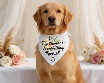 May include: A golden retriever wearing a white bandana with the text "My Humans Are Getting Married!" in black script, accented with floral and greenery designs. A diamond ring graphic is below the text.