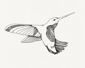 Hummingbird Temporary Tattoo