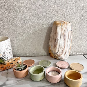 May include: Six small concrete planters in various colors, including peach, green, and yellow. The planters are arranged on a white marble surface. One planter has a small succulent plant growing inside.