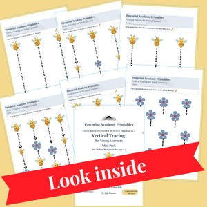 May include: A set of white worksheets for young learners, designed for vertical tracing practice. The pages show illustrations of bees, flowers, and dotted lines. The text "Look inside" is displayed on a red banner.