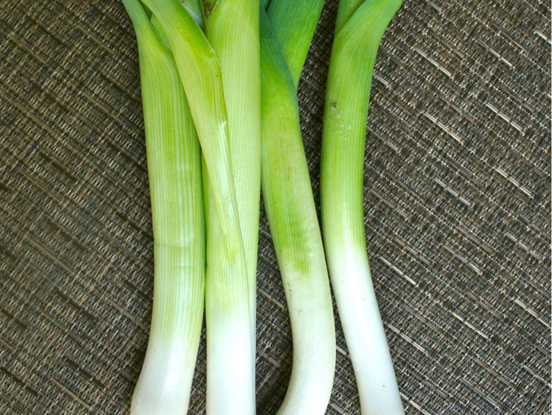 American Flag Leek – 100 Seeds | Heirloom, Non-gmo, Cold Hardy, Mild ...