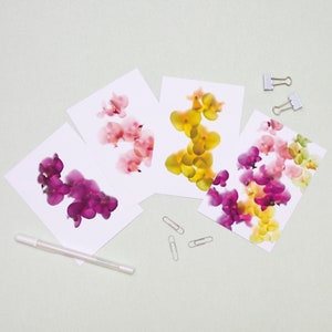 Pack of 4 orchid postcards, Botanical postcard set, Small print with flower artwork, Flower cards, Gift for friends, Floral art prints