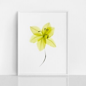 Green Botanical Wall Art Prints, Floral Wall Art, Minimalist Wall Art Print, Photography prints, Aesthetic room decor, Trendy wall art