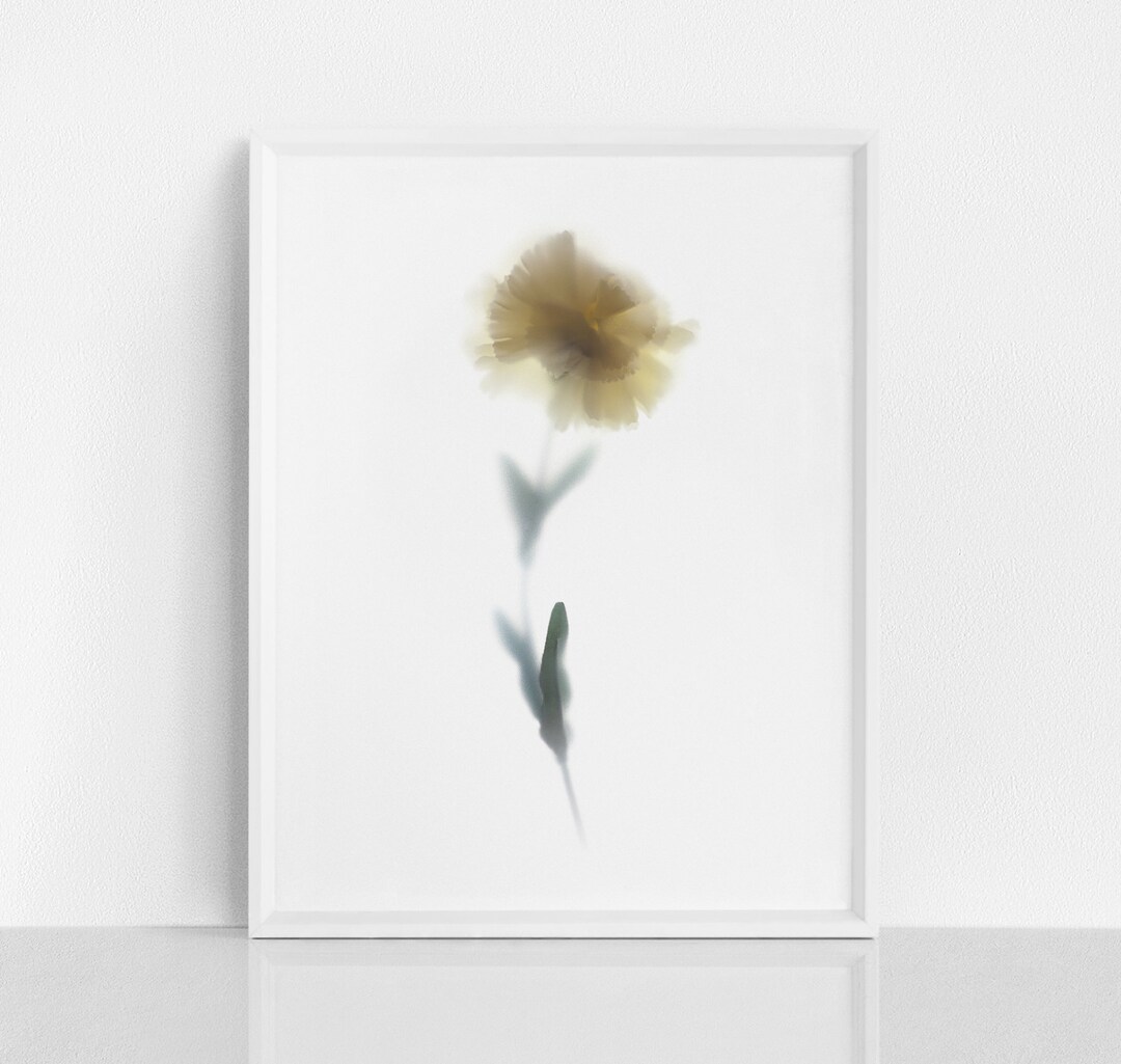 White Botanical Wall Art Prints Floral Wall Art Minimalist Etsy UK