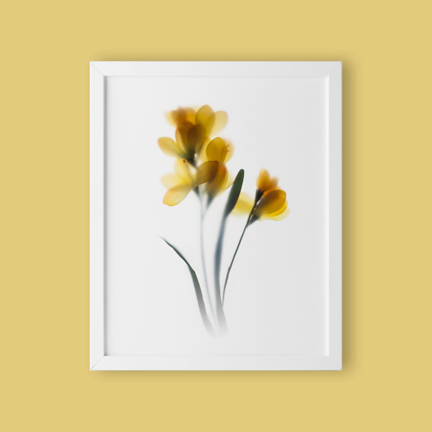 Yellow Freesia Flower Art Print: Minimalist Botanical Home Decor