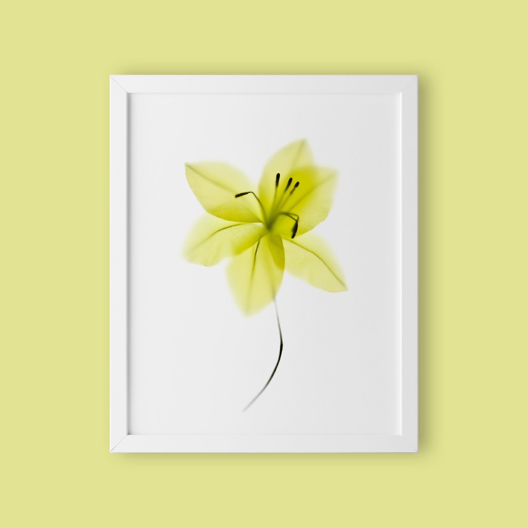 Green Botanical Wall Art Prints, Floral Wall Art, Minimalist Wall Art