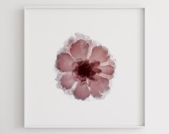 Lace Rose Botanical Wall Art Prints, Floral Wall Art, Trendy home decor, Minimalist Wall Art, Aesthetic room decor, Trendy wall art