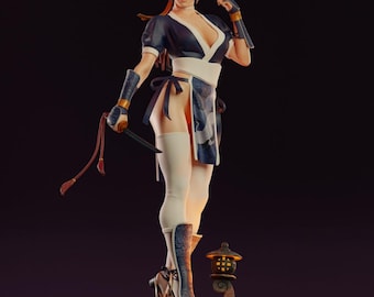 Deadly Ninja Princess 3D Print Model | Elegant Figure for Resin