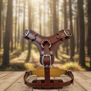 Pode incluir: Uma coleira para cães de couro castanho com fivelas e ferragens prateadas. A coleira tem uma peça peitoral em forma de Y e uma correia que contorna o torso do cão. O fundo é uma imagem desfocada de uma floresta.