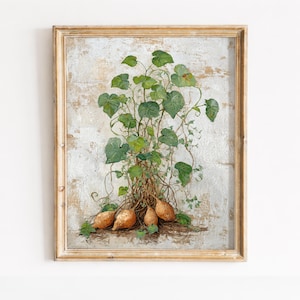 Puede incluir: Una impresión botánica enmarcada que presenta una ilustración detallada de batatas con vides y hojas verdes. La obra de arte tiene una estética rústica y vintage, con un fondo claro y un marco de madera.
