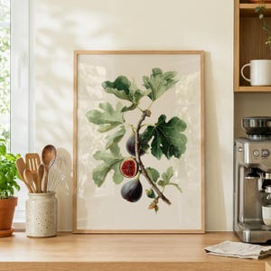 Può includere: Una stampa d'arte botanica incorniciata raffigurante un ramo di fico con foglie verdi e due fichi viola scuro, uno dei quali tagliato a metà per rivelare un interno rosso intenso con semi, su uno sfondo beige chiaro in una cornice di legno.