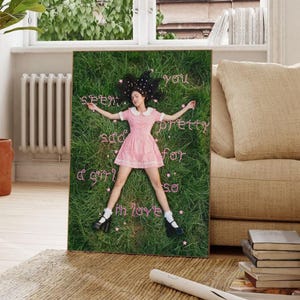 May include: A framed print featuring a person lying on grass, wearing a pink dress and black shoes. The words "you seem pretty sad for a girl so in love" are written on the grass in pink letters. The background includes a window and a radiator.