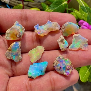 Könnte beinhalten: Eine Sammlung von acht rohen, ungeschliffenen Opal-Edelsteinen mit unregelmäßigen Formen und rauen Kanten. Jeder Stein zeigt ein einzigartiges Farbspiel mit irisierenden Blitzen in Blau, Grün, Gelb und Orange auf einer durchscheinenden Basis.