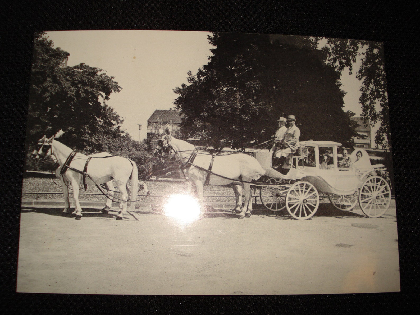 Vintage Black & White German Bridal Horse Carriage ...