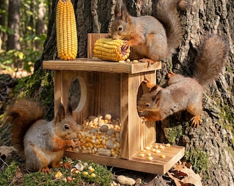 Barre à noix pour mangeoire pour écureuils - Station de nourrissage pour écureuils d'extérieur en bois avec fenêtre en acrylique - Mangeoire pour animaux de jardin