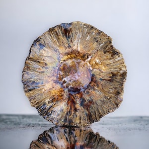 Prato Solaris de cerâmica feito à mão, prato decorativo inspirado no sol, prato de servir de cerâmica artesanal, decoração de mesa moderna