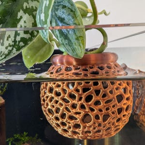 May include: A copper-coloured, spherical floating planter with a porous, honeycomb-like lattice structure. The planter is partially submerged in water and contains a green, variegated houseplant with heart-shaped leaves extending upwards.