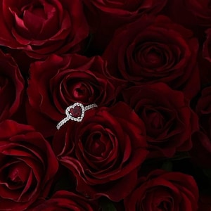 Könnte beinhalten: Ein herzförmiger Ring mit einem Rubin und einem Diamanten-Halo liegt auf einem Bett aus tiefroten Rosen. Das silberne Band des Rings kontrastiert mit dem tiefen Rot der Rosen und erzeugt eine romantische und elegante Darstellung. Die Rosen sind in voller Blüte.
