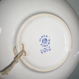 Ulmer/KERAMIK/250/1 German Hand Painted/FLORAL/Wall Plate/Vintage/Germany Mojalica Dish/Bowl image 6