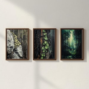 May include: Set of three framed art prints featuring forest scenes. One print shows a moss-covered rock face, another a tree trunk with green foliage, and the third a sunlit forest path. The frames are a dark brown color.