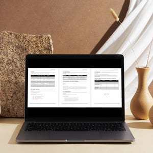 May include: A laptop displaying three pages of a document with black text and tables. The laptop is on a light-colored surface, with a textured stone and two decorative vases in the background. Dried plants and a white cloth add to the aesthetic.