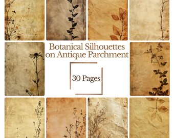 Siluetas botánicas en pergamino antiguo / Páginas vintage de diario botánico / Efímeras imprimibles