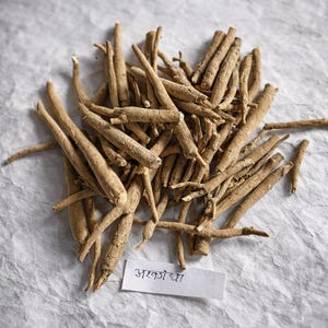 Puede incluir: Un mont&oacute;n de ra&iacute;ces secas de ashwagandha, de color marr&oacute;n claro, sobre una superficie texturizada blanquecina. Una peque&ntilde;a etiqueta blanca con escritura es visible. Las ra&iacute;ces son de diferentes longitudes y grosores.