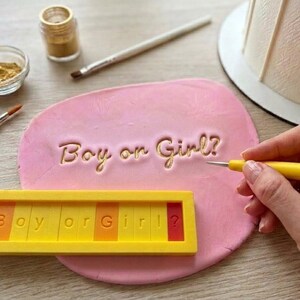 Peut inclure: Fondant rose avec l'inscription dorée « Boy or Girl ? ». Un jeu de blocs jaune et orange épelle la même phrase. De la poudre dorée, des pinceaux et un gâteau sont également visibles, suggérant un thème de révélation du sexe.