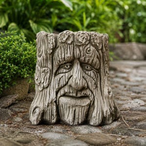 May include: A grey stone planter shaped like a tree stump with a carved face featuring deep-set eyes, a prominent nose, and a textured beard. The exterior surface mimics the rough, weathered bark of a tree with deep vertical grooves and knots.