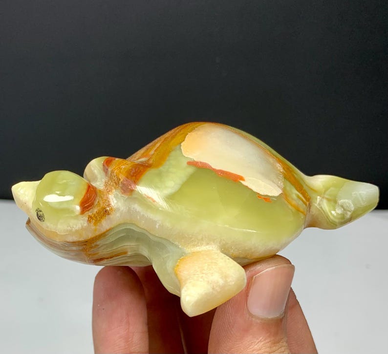 May include: A polished stone turtle figurine carved from banded onyx. The sculpture features a smooth, translucent surface with swirling patterns of pale green, cream, and burnt orange. The turtle is depicted in a swimming pose with extended flippers.