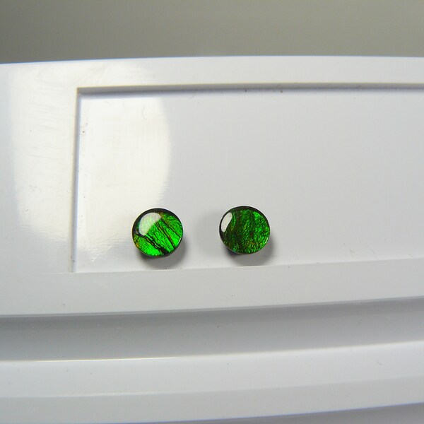 6mm Round Green Pair of Ammolite Cabs