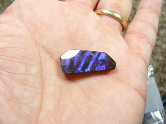 25.3 X 12 Purple Ammolite Etsy