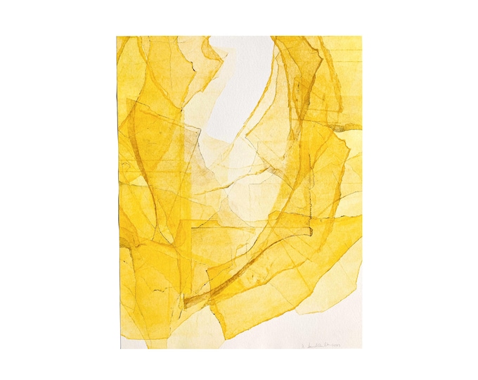 Sunspace | original monoprint | 24 x 31 inches
