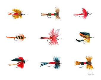 Colección Fly de 8x10 (9): Pintura acrílica sin marco