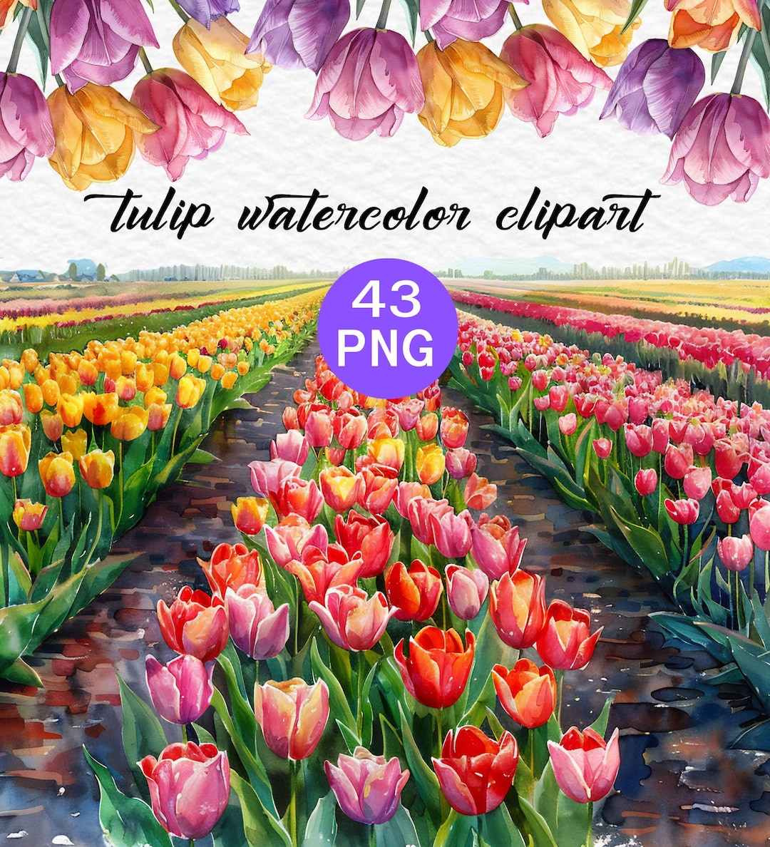 Tulip Watercolor Clipart Bundle | Spring Floral Bouquets, Wreaths (43 ...