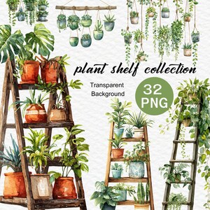 Könnte beinhalten: Aquarell-Illustration einer Pflanzenregal-Kollektion mit verschiedenen Topfpflanzen und Hängepflanzen. Das Bild zeigt Holzleitern, Terrakotta-Töpfe und den Text "plant shelf collection", "Transparent Background" und "32 PNG".