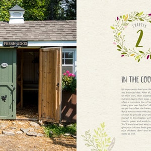 May include: A green coop with a sign that reads "FRESH EGGS" and a brown door with a rooster silhouette. The coop is surrounded by green grass and flowers. The text "CHAPTER 2 IN THE COOP" is visible on the right side of the image.
