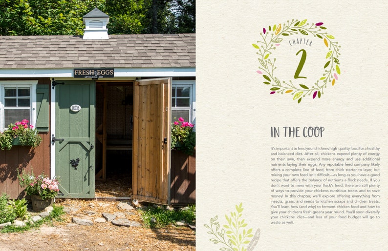 May include: A green coop with a sign that reads "FRESH EGGS" and a brown door with a rooster silhouette. The coop is surrounded by green grass and flowers. The text "CHAPTER 2 IN THE COOP" is visible on the right side of the image.