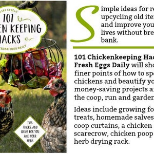 SIGNED COPY 101 Chicken Keeping Hacks Book Backyard Chicken keeping Tricks and Tips by Lisa Steele of Fresh Eggs Daily image 3