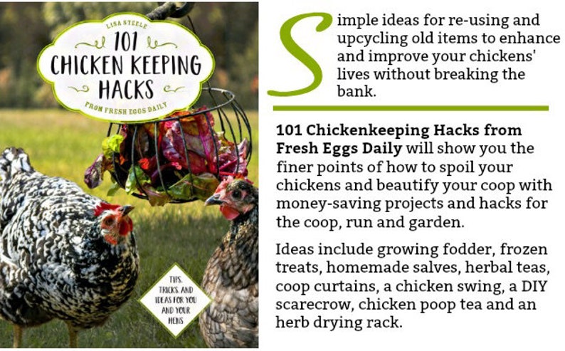 May include: A book cover with a white background and the title "101 Chicken Keeping Hacks" in black text. The cover also features two chickens, one black and white and one brown, and a basket of leafy greens. The text "From Fresh Eggs Daily" is below the title.