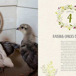 May include: Two baby chicks, one white and one gray, stand on a brown mat. The white chick is looking at its reflection in a wooden oval mirror. The text "Chapter 4: Raising Chicks on the Cheap" is on the right side of the image.