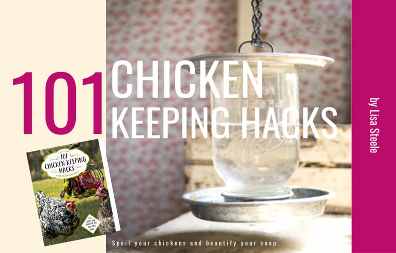 May include: A book titled "101 Chicken Keeping Hacks" by Lisa Steele. The book cover features a black and white chicken with a red and white basket. The book cover is in front of a hanging water dispenser for chickens. The dispenser is made of a clear glass jar with a metal lid and a metal base. The background is a pink and white floral pattern.