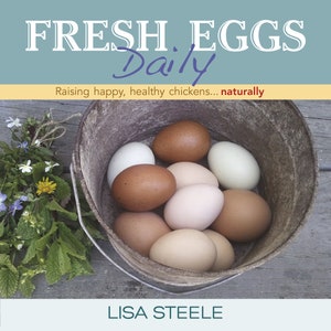 Signed Copy FRESH EGGS DAILY: Raising Happy Healthy Chickens ... Naturally. Chicken Keeping Book by Lisa Steele image 2