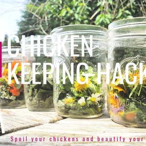 May include: Four glass jars filled with various herbs and flowers, labeled "101 Chicken Keeping Hacks" with the text "Spoil your chickens and beautify your coop" below.