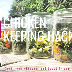 SIGNED COPY 101 Chicken Keeping Hacks Book Backyard Chicken keeping Tricks and Tips by Lisa Steele of Fresh Eggs Daily image 8