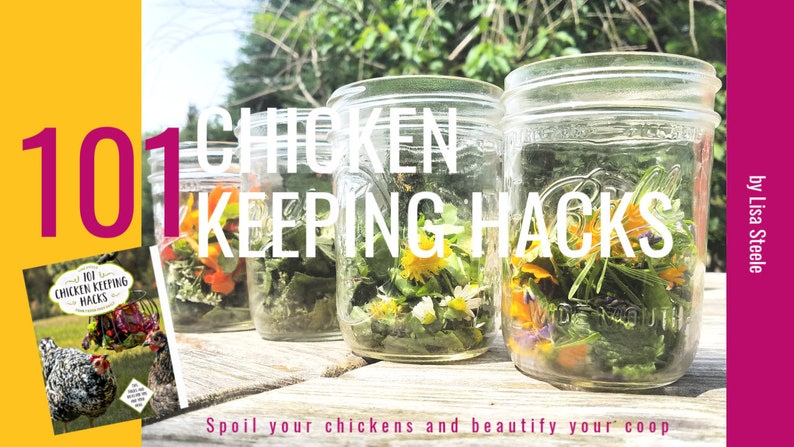 May include: Four glass jars filled with various herbs and flowers, labeled "101 Chicken Keeping Hacks" with the text "Spoil your chickens and beautify your coop" below.