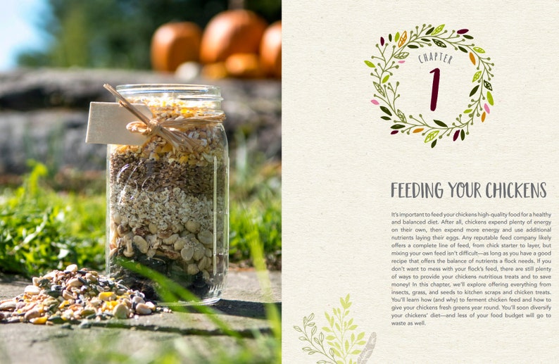 May include: A glass jar filled with a variety of grains, seeds, and nuts. The jar is labeled "Chapter 1: Feeding Your Chickens". The text explains the importance of feeding chickens a balanced diet and provides tips on how to create a homemade chicken feed.