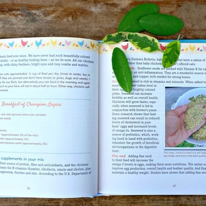 Signed Fresh Eggs Daily - Chicken Keeping Book by Lisa Steele image 4