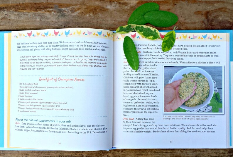 Signed Fresh Eggs Daily - Chicken Keeping Book by Lisa Steele image 4